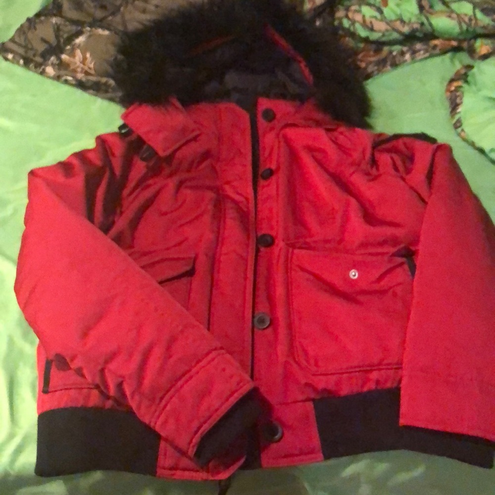 Hollister winter coat